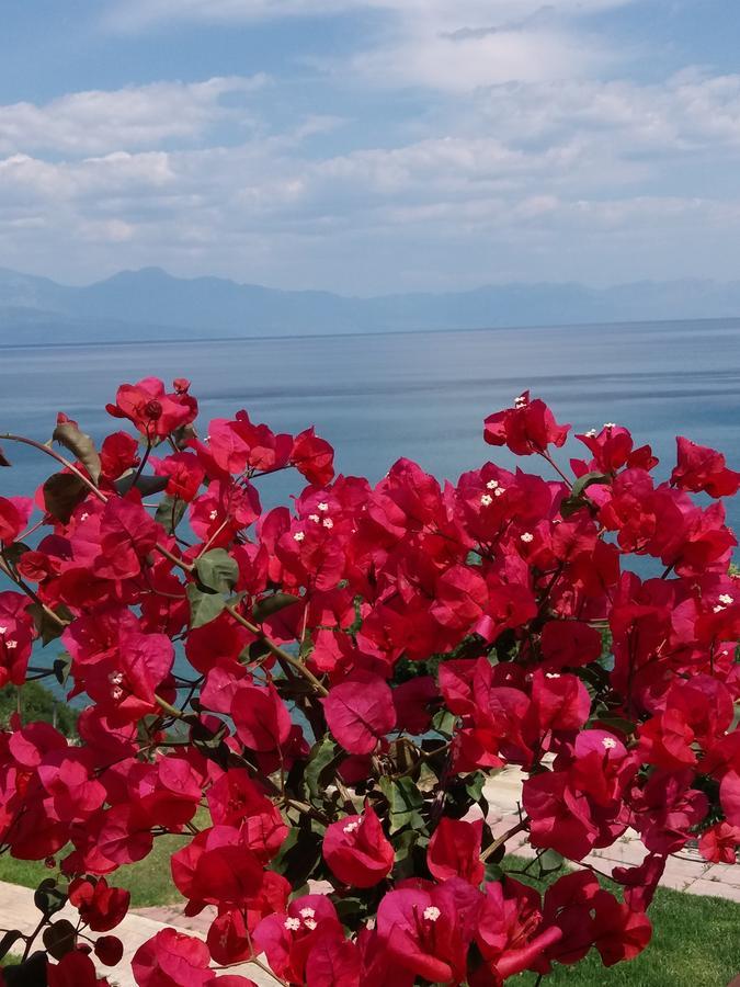 Panorama Beach Chrani Exteriér fotografie